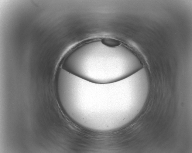 X0000066021320200603312039