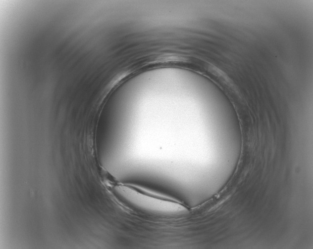 X0000066021321200603312039