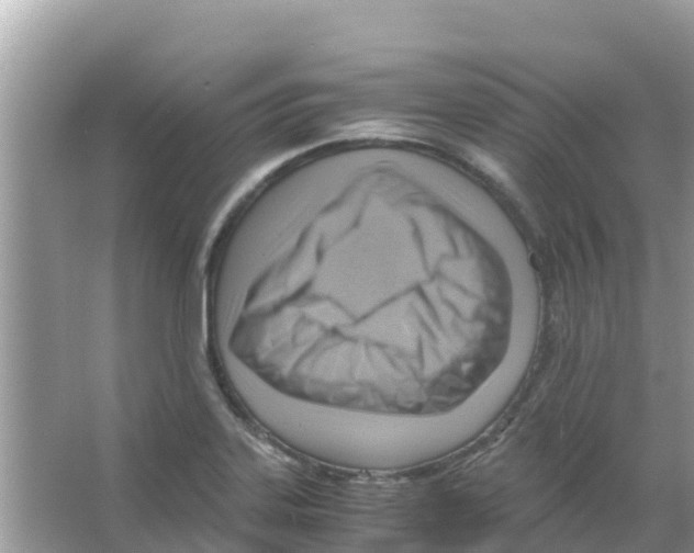 X0000066021323200603312039