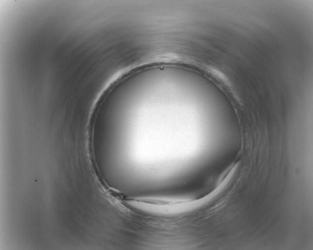 X0000066021326200603312039