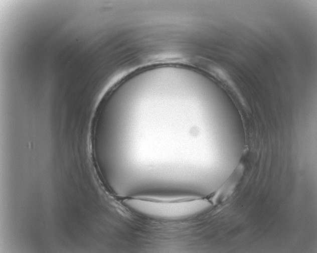 X0000066021328200603312039