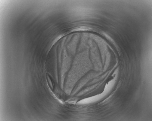 X0000066021329200603312039