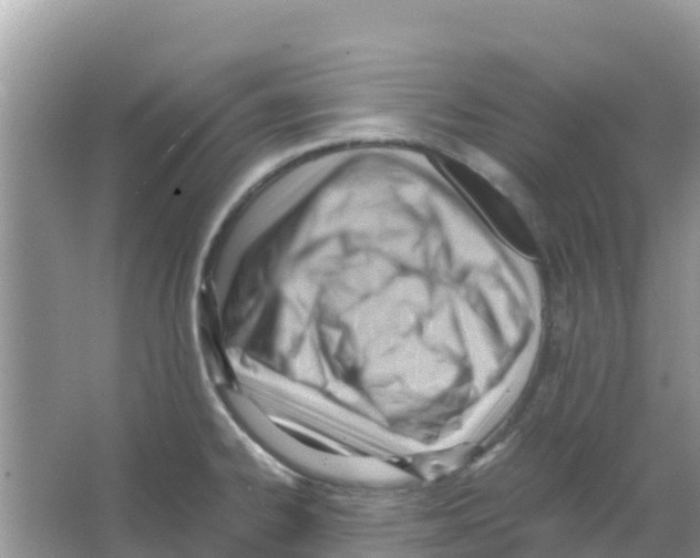 X0000066021334200603312039