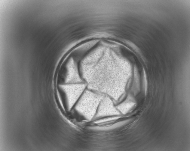 X0000066021335200603312039