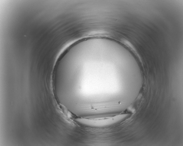 X0000066021336200603312039