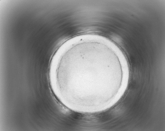 X0000066021338200603312039