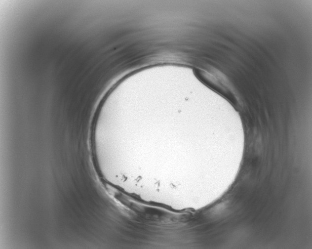 X0000066021339200603312039