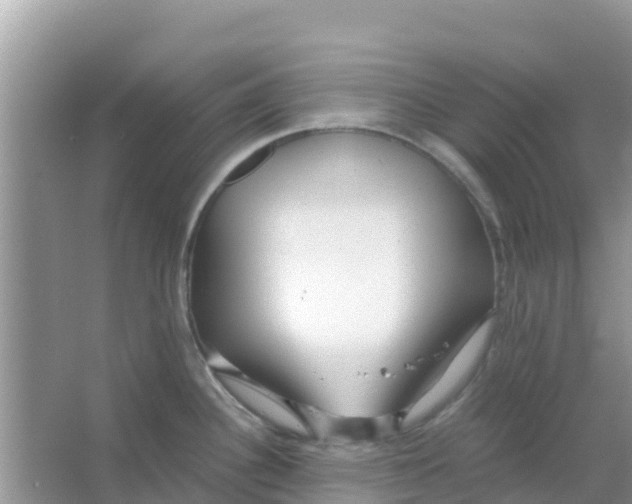 X0000066021340200603312039