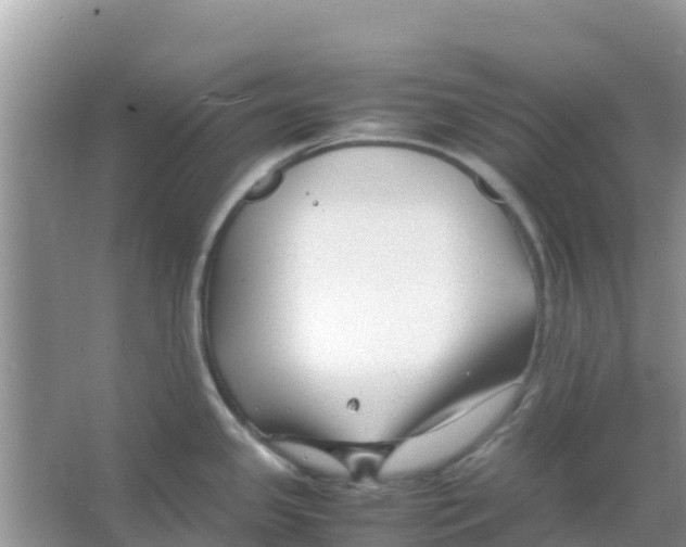 X0000066021341200603312039