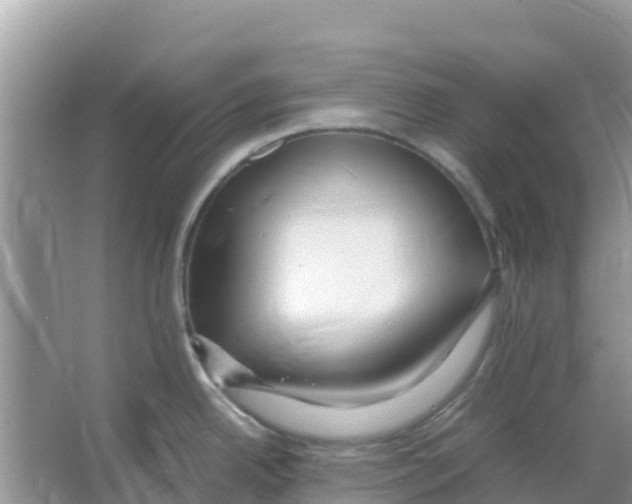 X0000066021342200603312039