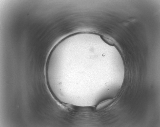 X0000066021343200603312039