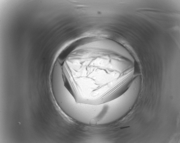 X0000066021344200603312039