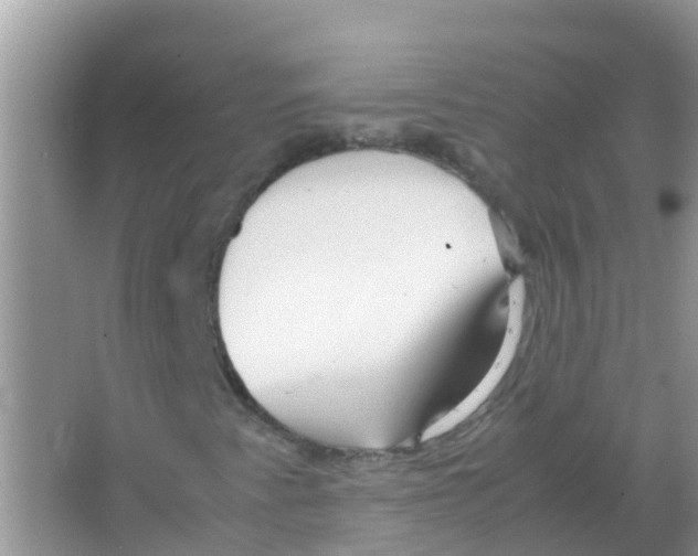 X0000066021345200603312038