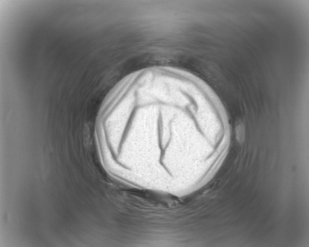 X0000066021347200603312038