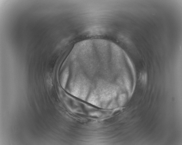 X0000066021348200603312038