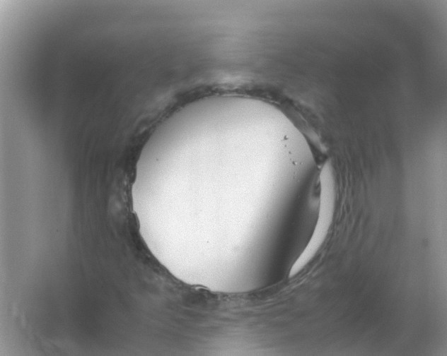 X0000066021349200603312038