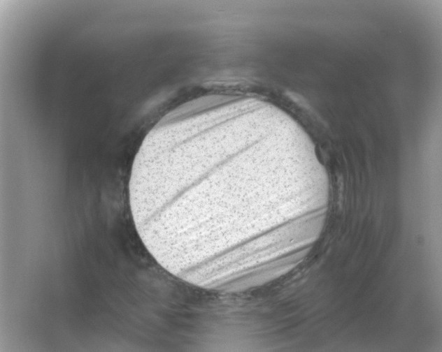 X0000066021350200603312038