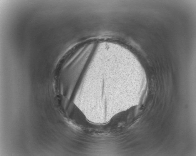 X0000066021352200603312038