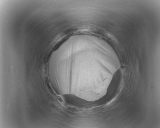 X0000066021353200603312038