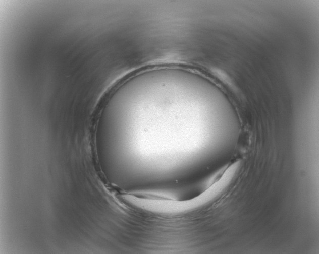 X0000066021356200603312038