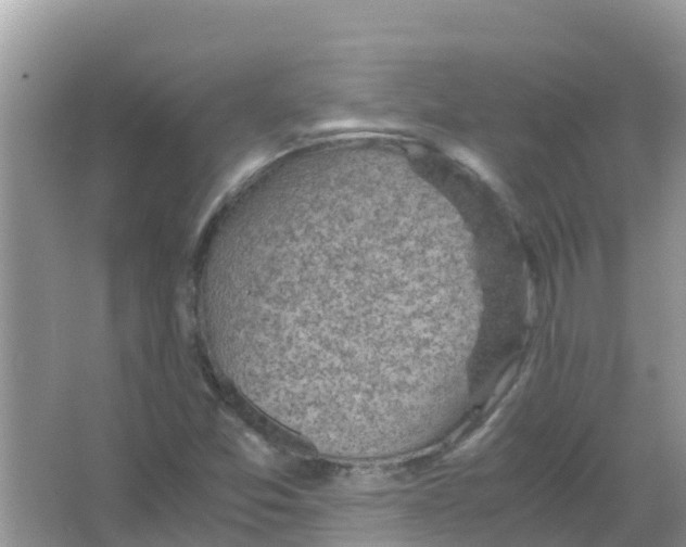 X0000066021357200603312038