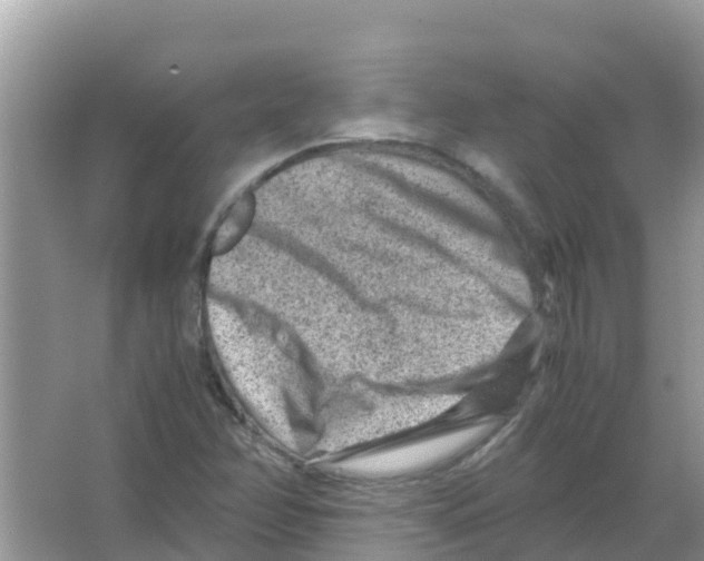 X0000066021358200603312038