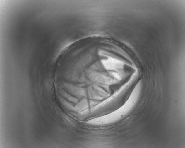 X0000066021359200603312038