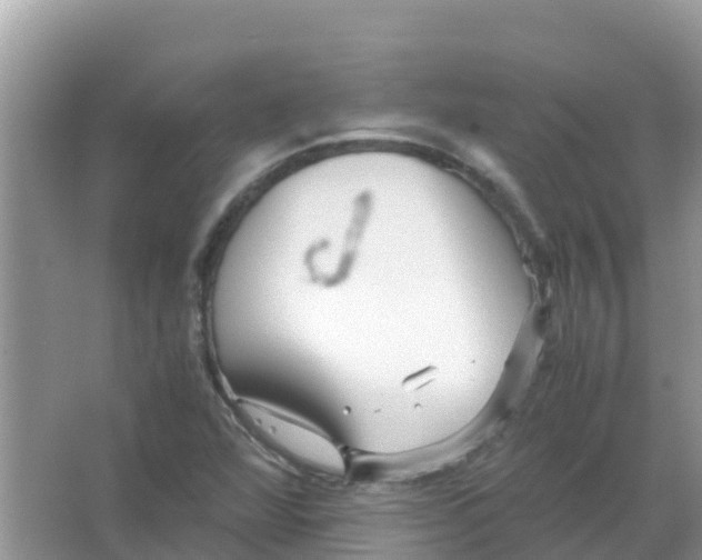 X0000066021360200603312038