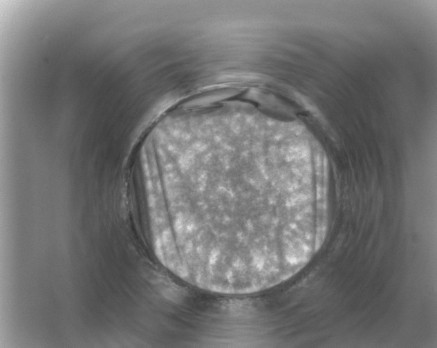 X0000066021362200603312038