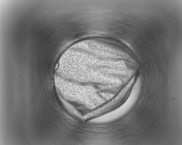 X0000066021363200603312038