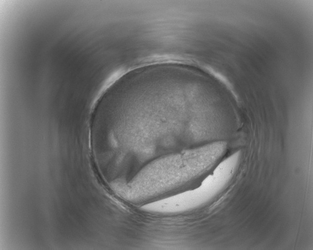 X0000066021365200603312038