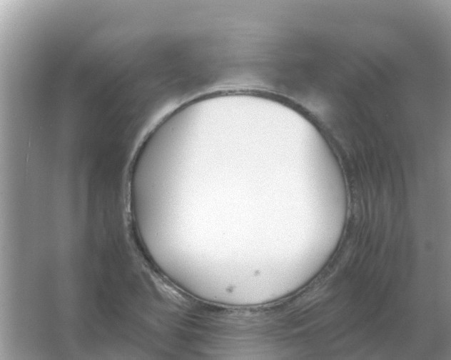 X0000066021366200603312038