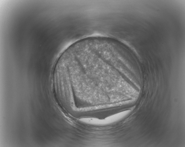 X0000066021367200603312038