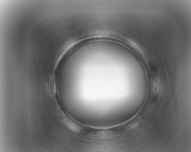 X0000066021368200603312038