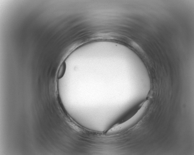 X0000066021370200603312038