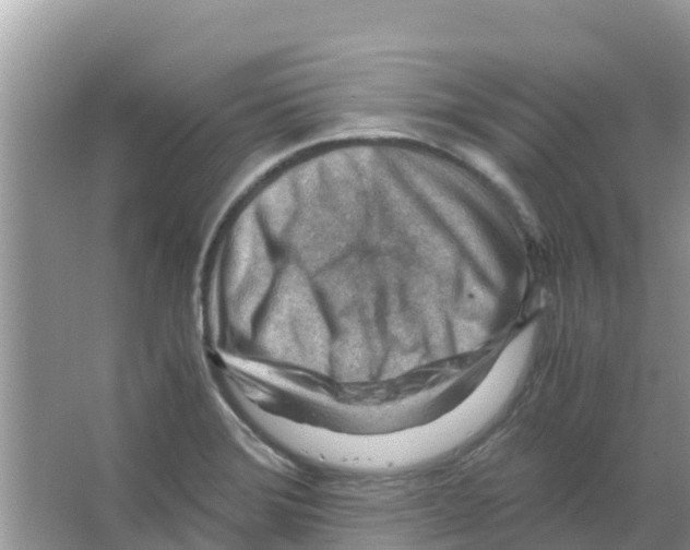 X0000066021372200603312038