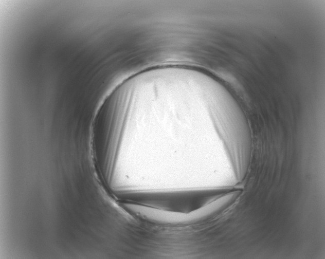 X0000066021374200603312038