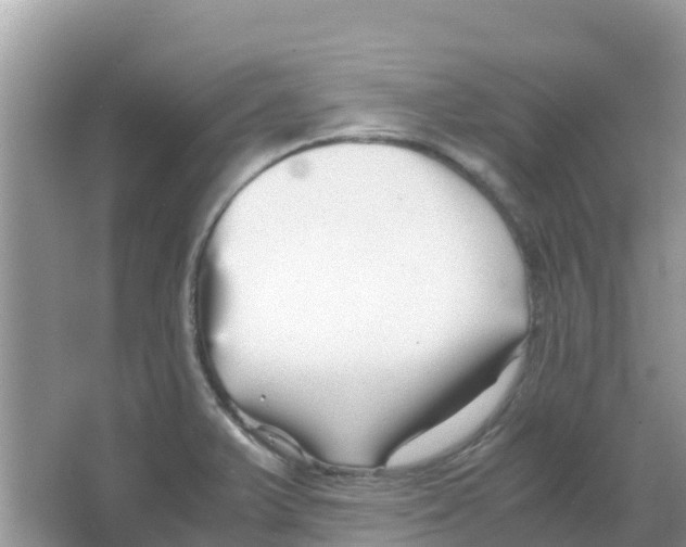 X0000066021375200603312038