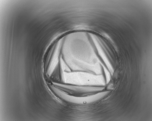 X0000066021376200603312038