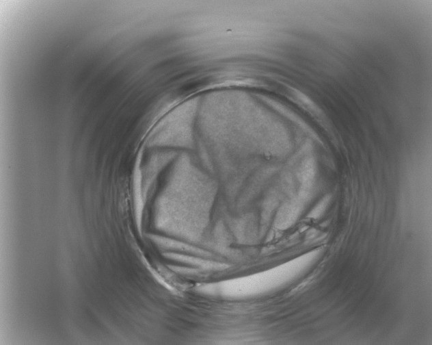 X0000066021377200603312038