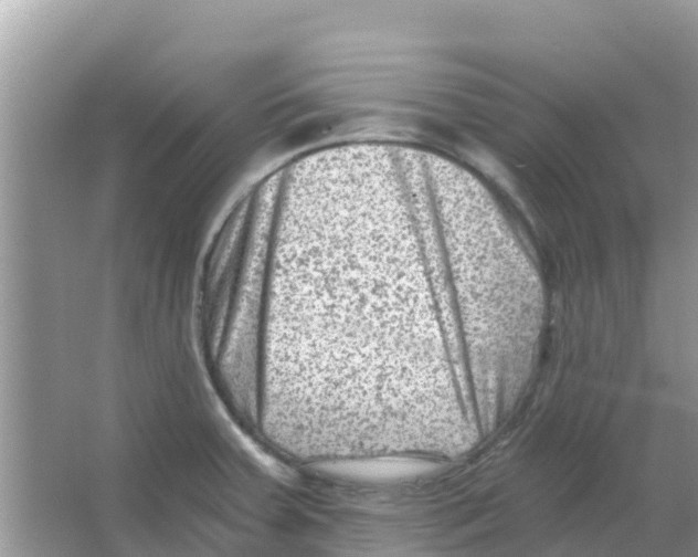 X0000066021379200603312038