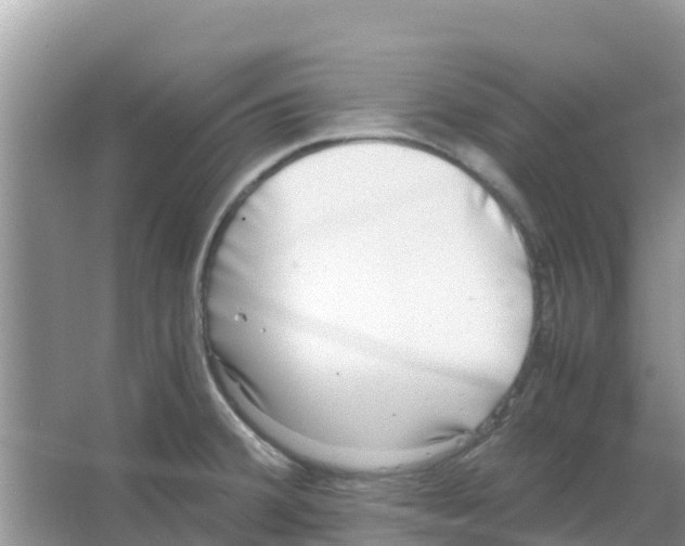 X0000066021380200603312038