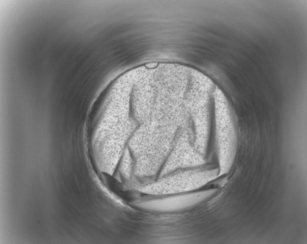 X0000066021382200603312038