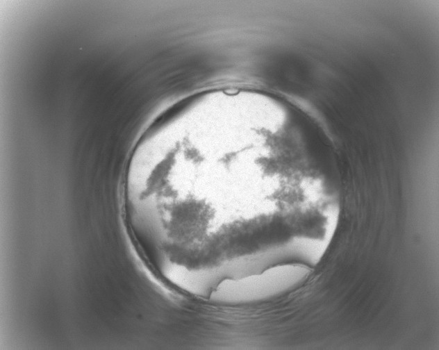 X0000066021383200603312038