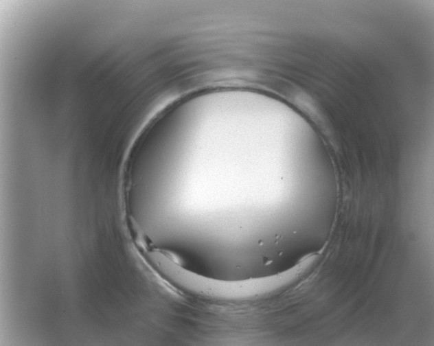 X0000066021384200603312038