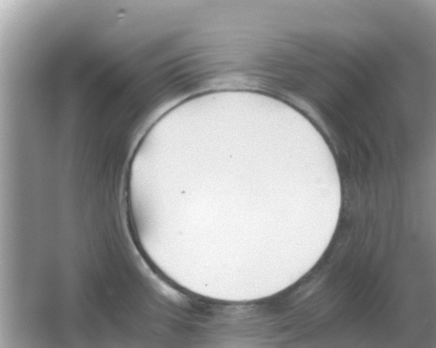 X0000066021387200603312037