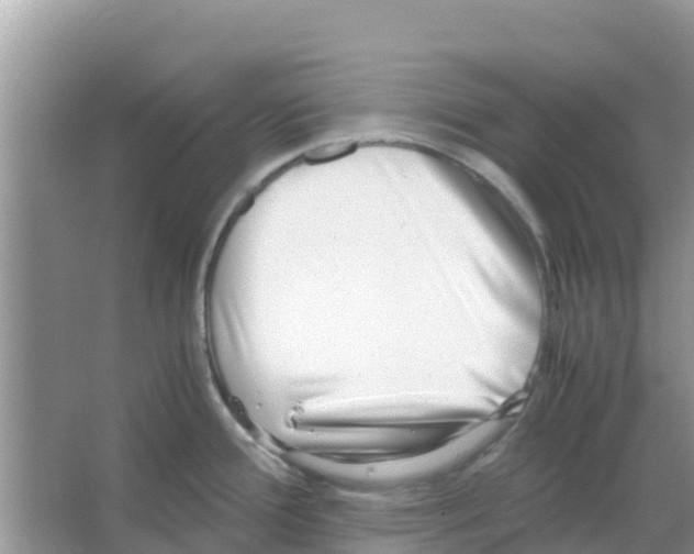 X0000066021388200603312037