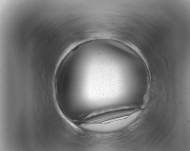 X0000066021389200603312037