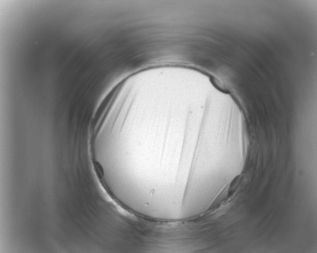 X0000066021390200603312037