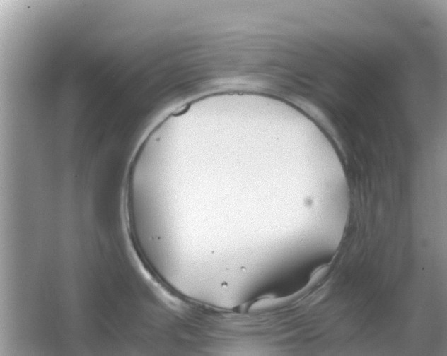 X0000066021391200603312037